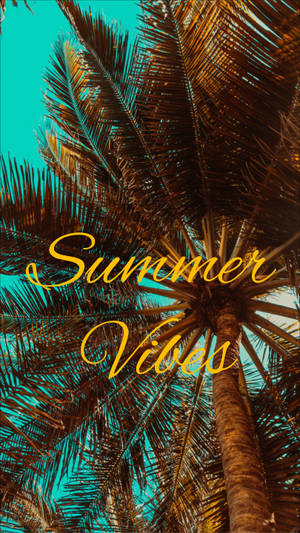 Summer Vibes Aesthetic Wallpaper