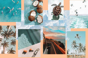 Summer Vibes Collage Wallpaper