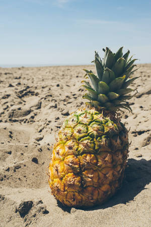 Summer Vibes Pineapple Wallpaper