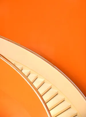 Sun-kissed Ripe Oranges In A Tree Wallpaper