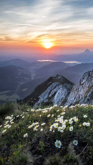 Sun Rise At Mountain Wallpaper