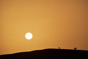 Sundown Over Sahara Wallpaper