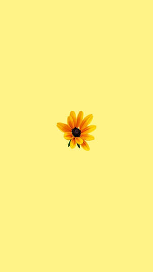 Sunflower Sticker Pastel Yellow Aesthetic Wallpaper