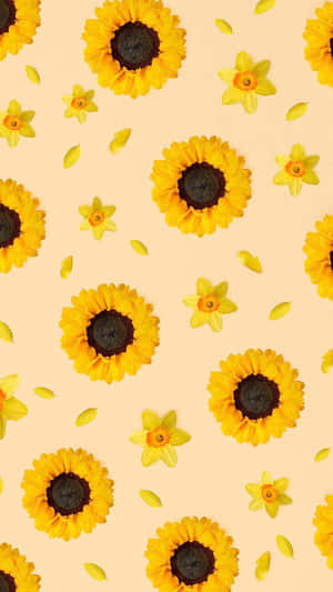 Sunflowers On A Beige Background Wallpaper