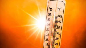 Sunlight Heat Temperature Wallpaper