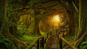 Sunlit Jungle Walkway Wallpaper