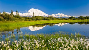 Sunny Day In Anchorage Wallpaper