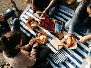 Sunny Day Picnic Gathering.jpg Wallpaper