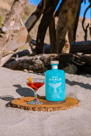 Sunny Gray Whale Gin Wallpaper