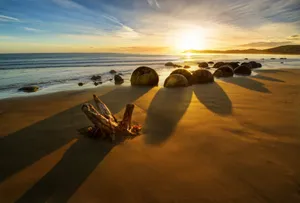 Sunrise By The Beach In New Zealand Wallpaper