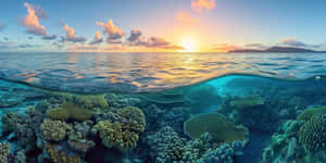 Sunrise_ Over_ Great_ Barrier_ Reef Wallpaper