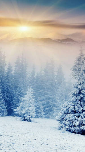 Sunrise_ Over_ Snowy_ Forest_ Mountains.jpg Wallpaper