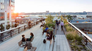 Sunset At The High Line Wallpaper