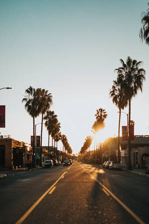 Sunset Blvd Scenery For Iphone Screens Wallpaper