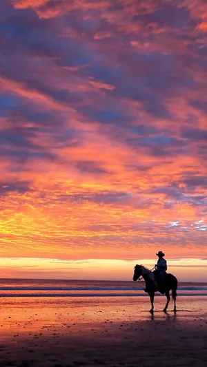 Sunset By The Beach Cowboy Iphone Wallpaper