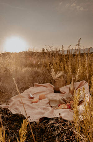 Sunset In Grass And Beige Wallpaper