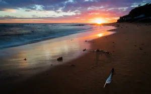 Sunset Ocean Shoreline Wallpaper