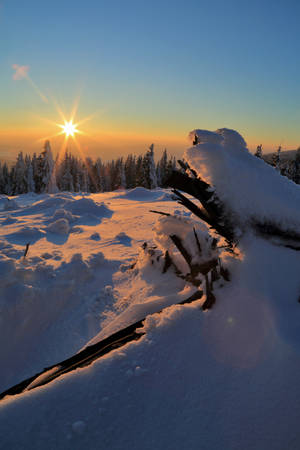 Sunset On Winter Wallpaper