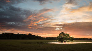 Sunset Sky In Gabon Wallpaper