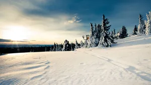 Sunset Winter Wonderland Desktop Wallpaper