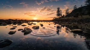 Sunsets Conquers The Pond Wallpaper