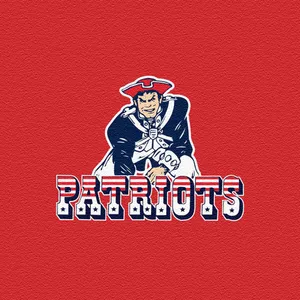 Super Bowl Champion New England Patriots Wallpaper