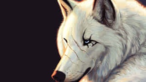 Super Cool Wolf With Scar Wallpaper