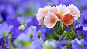 Super High Resolution Floral Wallpaper