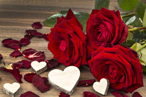 Super High Resolution Red Roses Wallpaper