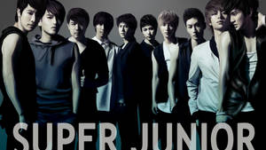 Super Junior Oil Canvas Wallpaper