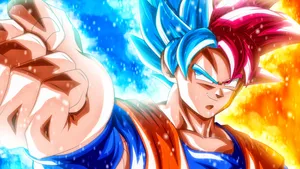 Super Saiyan Blue And God Wallpaper