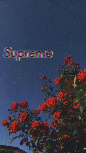 Supreme Aesthetic Nighsky Wallpaper