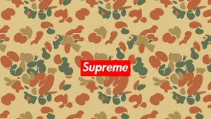 Supreme Logo 1920 X 1080 Wallpaper