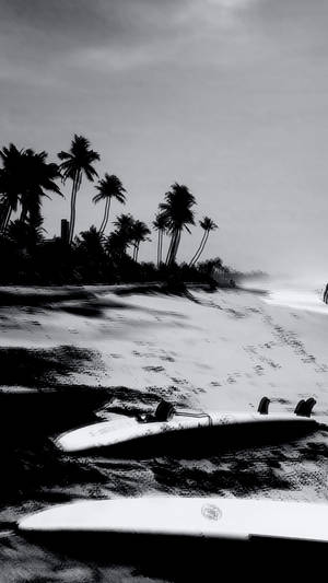 Surfing Beach Greyscale Wallpaper