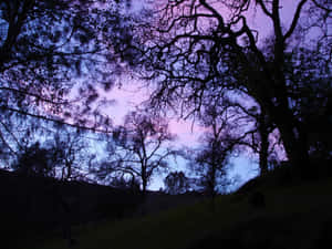 Surreal Fantasy Of Purple Gothic Architecture Wallpaper