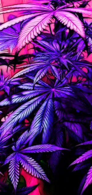 Surreal Vibrant Psychedelic Art Wallpaper