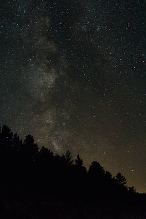 Surrounded By The Beauty Of The Night Sky Wallpaper