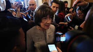 Susan Collins Being Interviewed Wallpaper