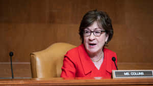 Susan Collins Talking Wallpaper