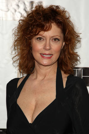 Susan Sarandon Academy Award Winner Wallpaper