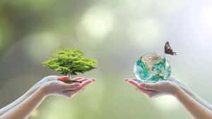 Sustainability Hands Up Wallpaper