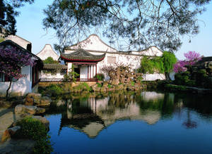 Suzhou Nets Garden View Wallpaper