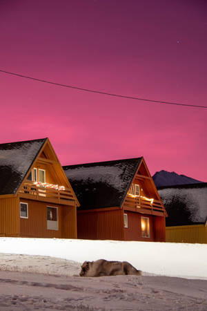 Svalbard Dark Pink Night Sky Wallpaper