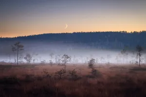 Sweden Koppom Dusky Sky Wallpaper