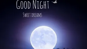 Sweet Dreams In The Moon Wallpaper