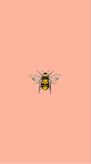 Sweet Summertime With A Vintage Bee Wallpaper