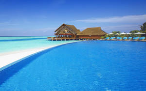 Swimming Pool White Beach Wallpaper