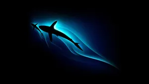 'swimmingly Cool - A Shark Poses In The Deep Blue Sea' Wallpaper