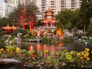 Sydney Chinese Garden Of Friendship Wallpaper