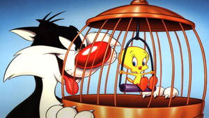 Sylvester Cat Hunting Tweety Bird Wallpaper